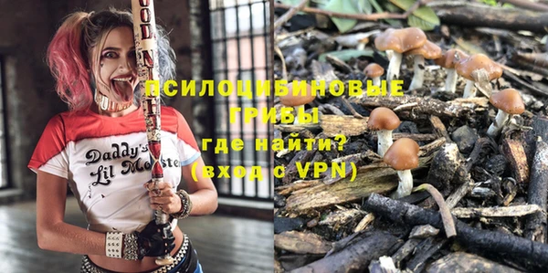 трава Балахна