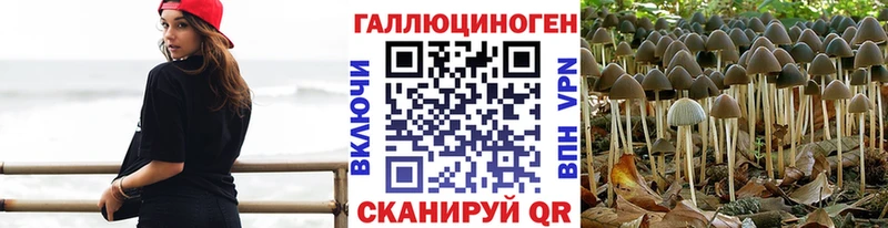 купить наркотик Нововоронеж Галлюциногенные грибы Magic Shrooms